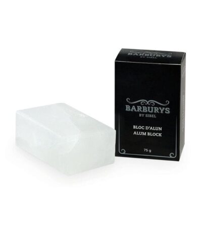 BarburysAluin Blok