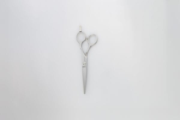Stylist RS2 6.0